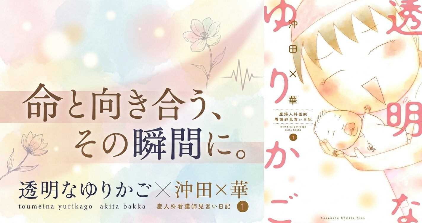 透明なゆりかご