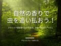 アロマスプレー作り方