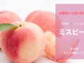 福島産ミスピーチ